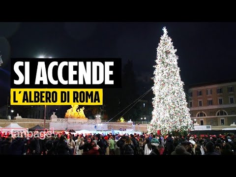 A Roma inaugurato l’albero di Natale di piazza del Popolo: la magia si accende nella capitale