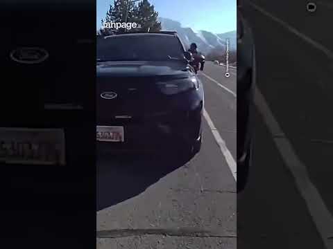 Polizia all’inseguimento di un maiale “fuggitivo”: le immagini dalla strada