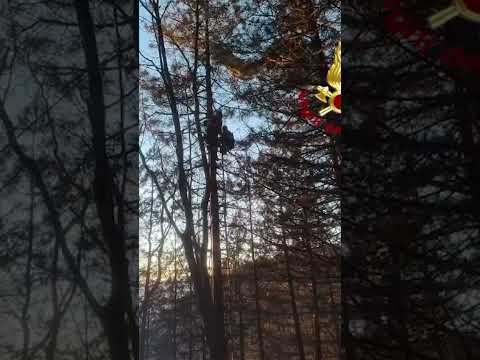 I Vigili del Fuoco hanno soccorso una parapendista intrappolata a 10 metri di altezza