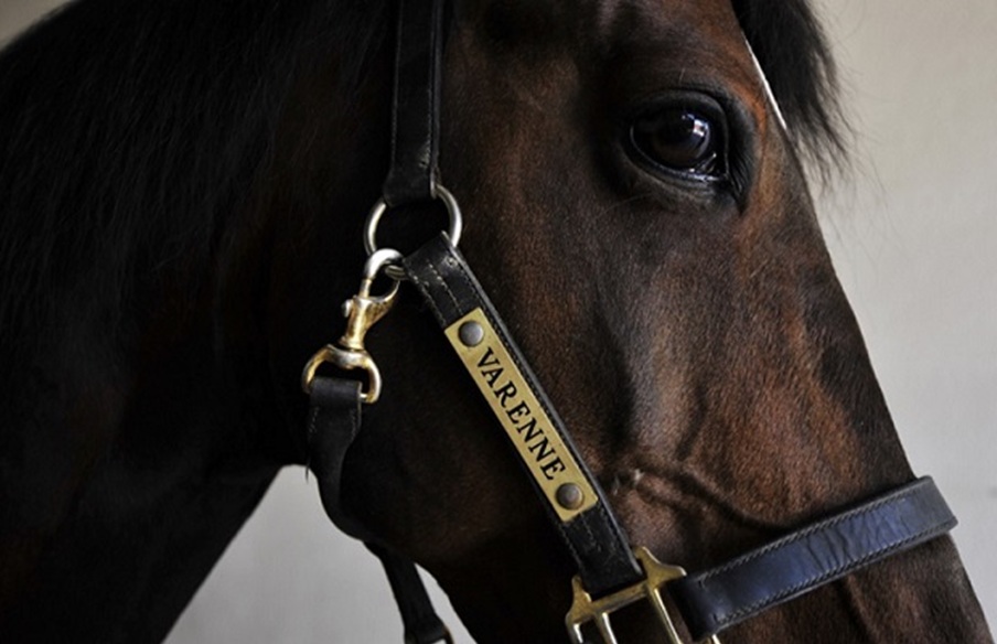 La leggendaria impresa di Varenne – L’umiliazione di Canossa – Il disastro dello Shuttle Challenger