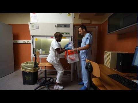 Sanità, da Bologna a Pavia: il primo trapianto di microbiota in trasferta