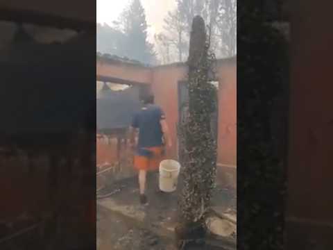 Incendio in Patagonia: decine le case distrutte #shorts #news