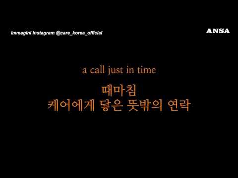 Resta solo dopo il disastro aereo in Corea, cane cerca famiglia