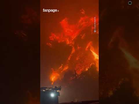 Enorme incendio brucia Los Angeles, interi quartieri rasi al suolo e caos