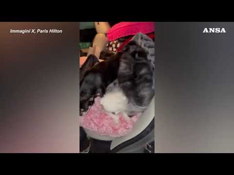 California in fiamme, Paris Hilton mostra la sua casa distrutta