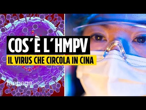 Cos’è l’hmpv, il virus che circola in Cina: quali sono i sintomi e le analogie con l’epidemia di Cov