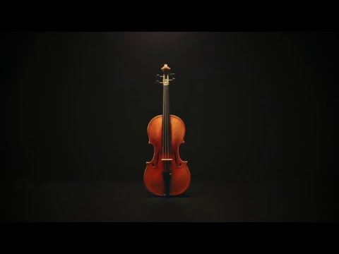 violino stradivari all’asta