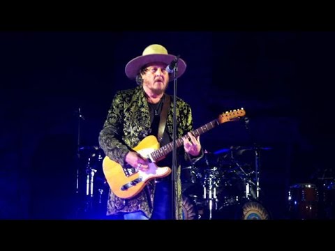 Zucchero, sarà per la prima volta in concerto al Circo Massimo il 23 e 24 giugno