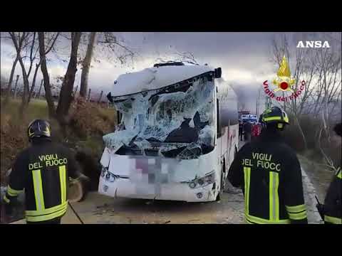 Albero cade su scuolabus nel Fiorentino, i bambini stanno bene