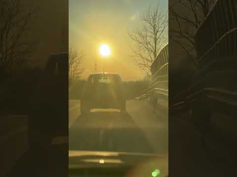 Portano il cane al guinzaglio, ma l’auto è in movimento sul cavalcavia dell’autostrada