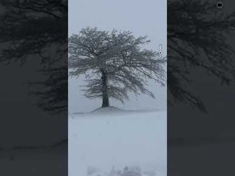 La Puglia si veste di bianco: paesaggi innevati e atmosfera magica che trasformano la regione in un