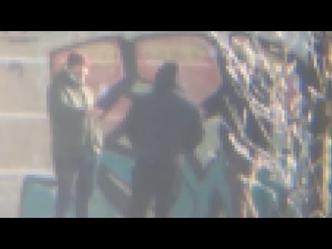 Reggio Emilia, traffico internazionale di droga: 15 misure cautelari per un giro da 8 milioni
