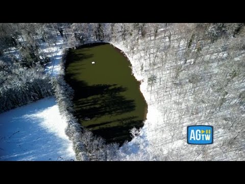 Puglia, il paesaggio da fiaba della neve sulla Foresta Umbra vista dal drone