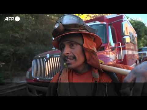 Incendi a Los Angeles, detenuti aiutano i pompieri nelle zone devastate dai roghi