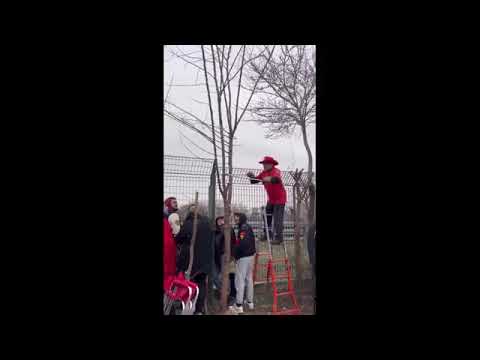 Ferrari, il video del tifoso che ha tagliato un albero per vedere meglio i test a Fiorano