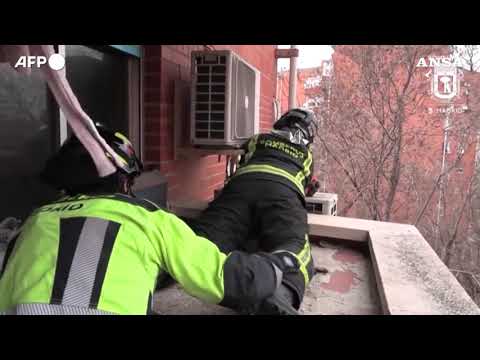 Madrid, vigili del fuoco salvano una capra bloccata al quinto piano di un palazzo