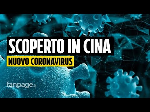 Scoperto in Cina un nuovo coronavirus: è in grado di infettare l’uomo