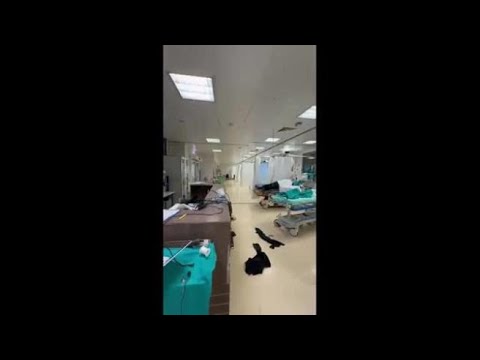 Verona, si risveglia all’ospedale e aggredisce i sanitari: il video della devastazione