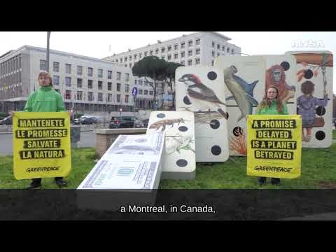 Cop16 a Roma, di fronte alla FAO una installazione di Greenpeace