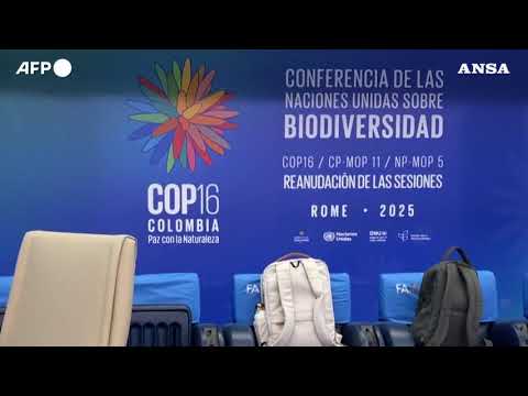 Roma, al via la Cop16 sulla biodiversita’
