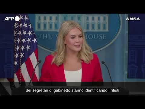 Musk partecipera’ alla prima riunione di gabinetto di Trump
