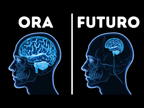 Perdi Materia Cerebrale Continuamente || 150 Fatti Strabilianti sul Corpo