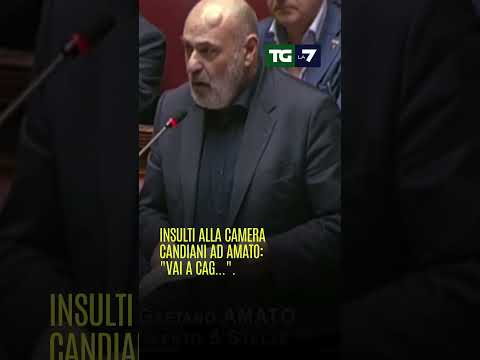 Insulti alla Camera Candiani ad Amato: “Vai a cag…”.