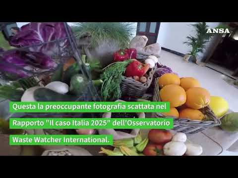 Cresce lo spreco  a tavola: buttato  cibo per 14 miliardi