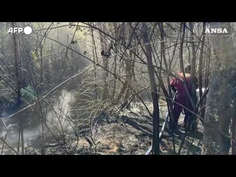 Argentina, la Patagonia in fiamme: bruciati circa 3.000 ettari di bosco