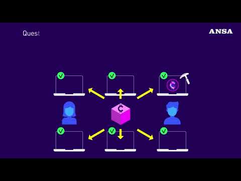 Cosa sono e come funzionano le criptovalute