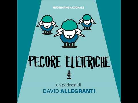 Bau bau (micio micio)