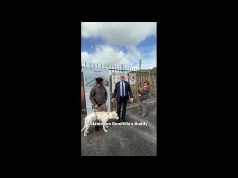 Roma: ecco come sarà l’ospedale veterinario pubblico alla Muratella