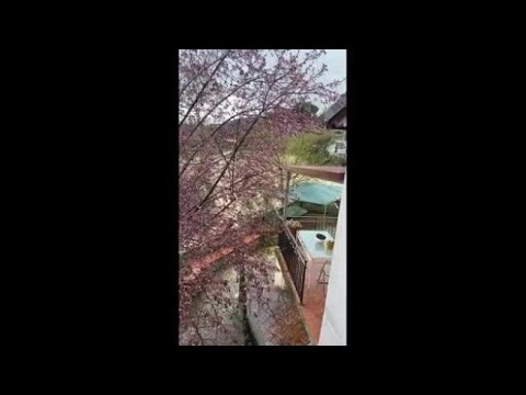 Montelupo, la strada diventa un fiume