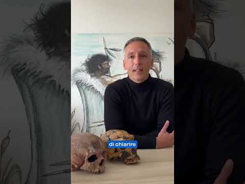 Perché si è estinto il Neanderthal?