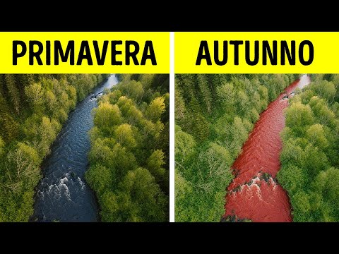 I fiumi più imprevedibili della natura seguono le proprie regole