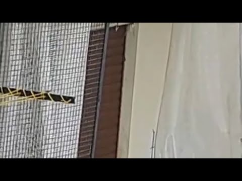 I guaiti del cane lupo abbandonato in una terrazza disseminata di rifiuti a Torino