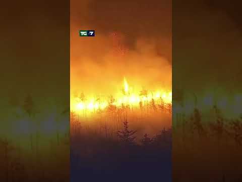 #Usa, un vasto incendio è scoppiato in New Jersey: migliaia di evacuati