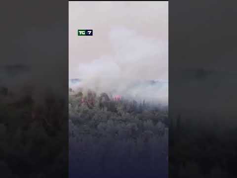 Incendi a #Gerusalemme. Indagini su un post di Hamas: “Bruciate tutto“