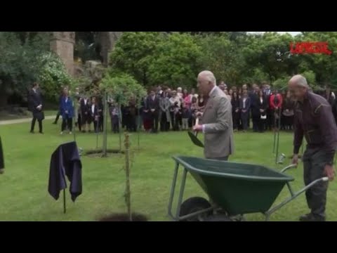 Roma, Re Carlo pianta la quercia donata da Mattarella