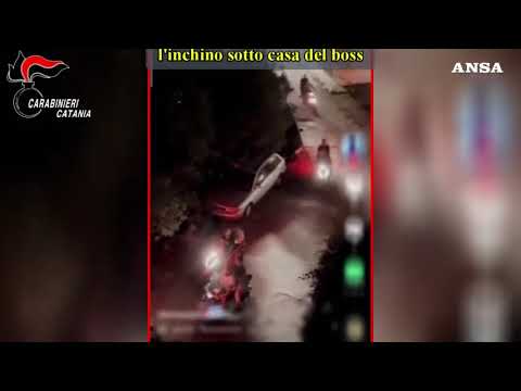 Trafficanti di droga legati a una famiglia di Cosa nostra: 12 arresti