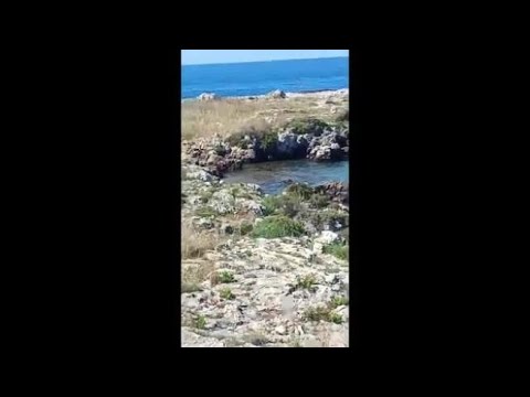 Esplode la condotta della fogna tra Nardò e Gallipoli: i liquami nel mare più bello di Puglia