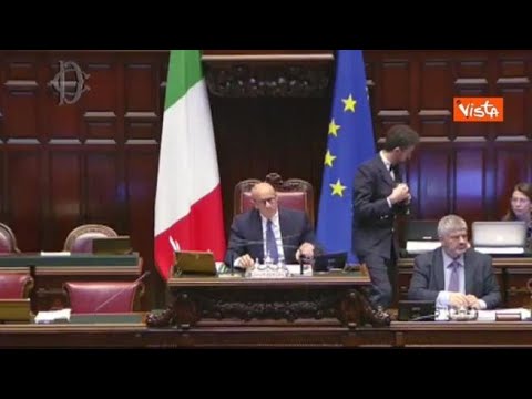 Rosato (Azione): «A Gaza da lotta al terrorismo si è passati a strage di civili innocenti»