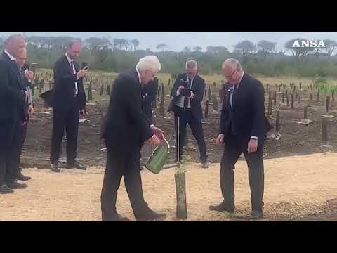Mattarella ‘giardiniere’ per progetto green a Castelporziano