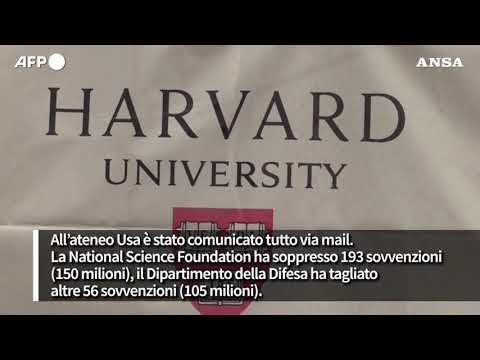 Tagli ai fondi per la ricerca in Usa, Harvard perde 2,4 miliardi di dollari