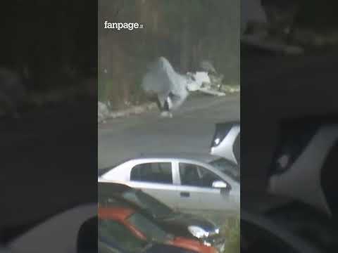 Si traveste da fantasma e getta la spazzatura a bordo strada: denunciato