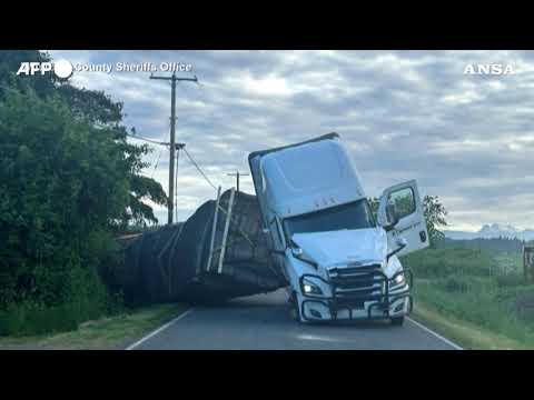 Usa, 250 milioni di api libere dopo l’incidente a un camion