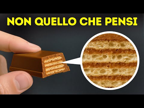 Curiosità sul Cibo che Abbiamo Scoperto per Voi