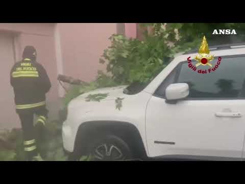 Maltempo, soccorsi al lavoro a Modena. Comuni: “Evitare gli spostamenti”