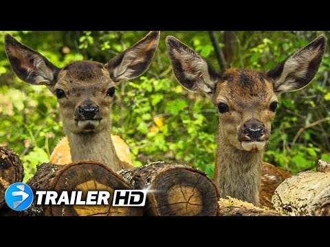BAMBI – Una vita nei boschi (2025) Trailer | Francesca Michielin | Film D’Davventura Drammatico