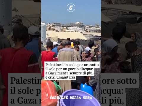 Palestinesi in coda per ore sotto il sole per un goccio d’acqua: a Gaza manca sempre di più #shorts